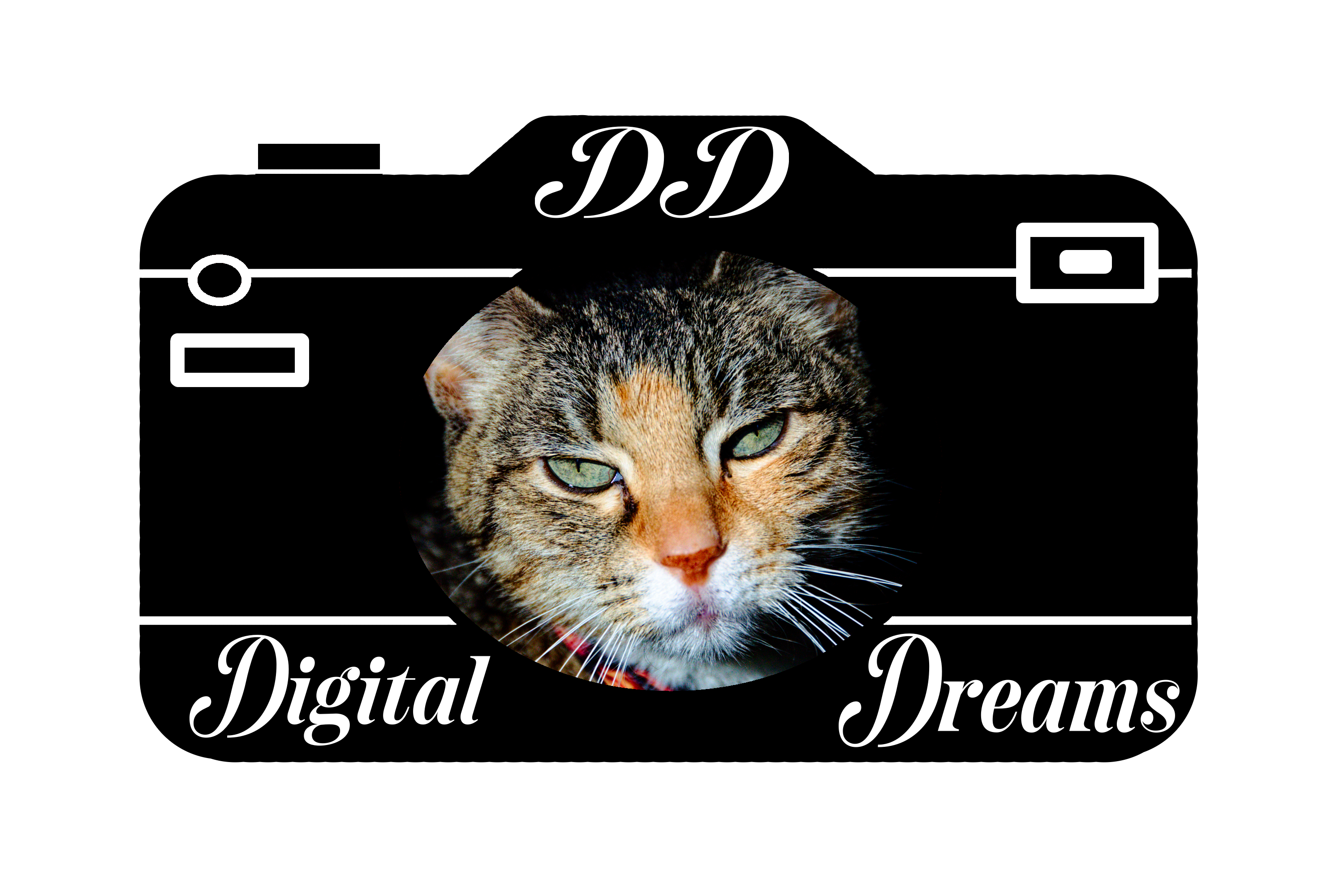 Digital Dreams